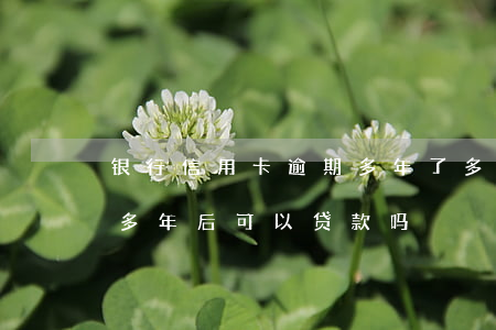 银行信用卡逾期多年了(多年前信用卡有逾期,多年后可以贷款吗)