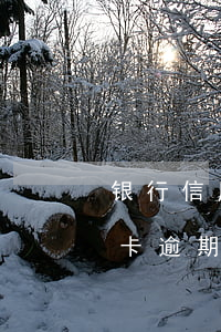 银行信用卡逾期如何打电话协商-银行信用卡逾期如何打电话协商还款