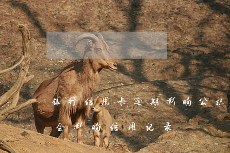 银行信用卡逾期影响公积金(公积金逾期会不会影响信用记录)