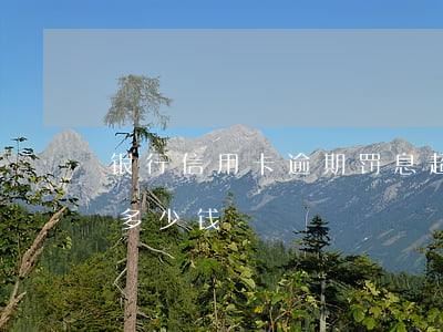 银行信用卡逾期罚息超高(信用卡逾期最多罚多少钱)