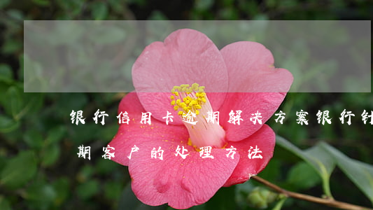 银行信用卡逾期解决方案(银行针对信用卡逾期客户的处理方法)