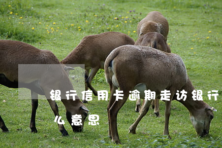 银行信用卡逾期走访(银行逾期走访调查是什么意思)