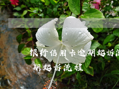 银行信用卡逾期起诉流程(广州银行信用卡逾期起诉流程)