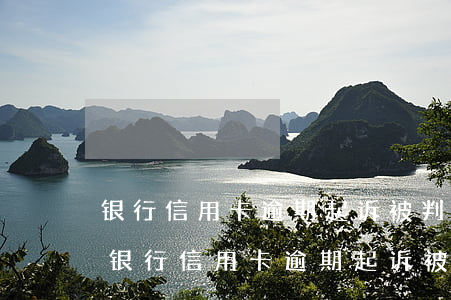 银行信用卡逾期起诉被判了多久会强制执行(银行信用卡逾期起诉被判了多久会强制执行)