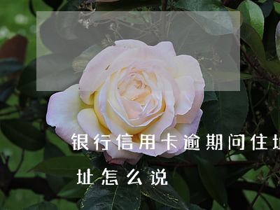 银行信用卡逾期问住址(银行信用卡逾期问住址怎么说)