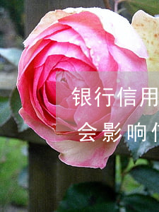 银行信用贷款逾期一个月(贷款逾期一个小时会影响信用吗?)