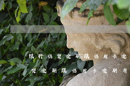 银行信贷逾期跟信用卡逾期有不同-银行信贷逾期跟信用卡逾期有不同吗