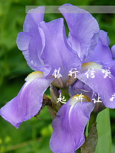 银行信贷逾期银行要起诉我（信用卡逾期银行起诉让我签字）