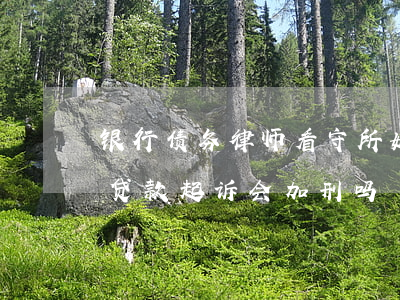 银行债务律师看守所(如果人在看守所欠银行贷款起诉会加刑吗)