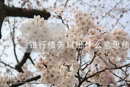 银行债务纠纷什么意思(债务纠纷是什么案由)