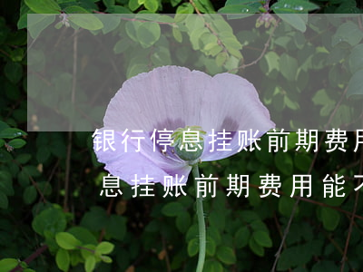 银行停息挂账前期费用能不能取消-银行停息挂账前期费用能不能取消呢