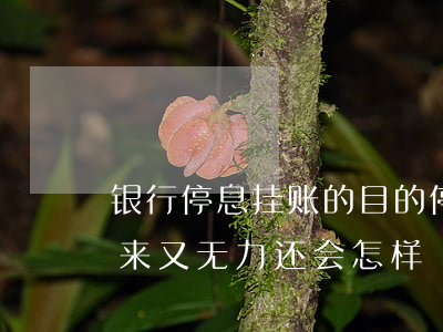 银行停息挂账的目的(停息挂账银行同意,到后来又无力还会怎样)