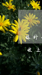 银行催收上门合法吗-信用卡逾期第三方催收上门合法吗