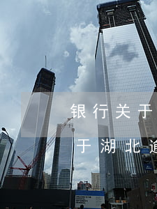 银行关于湖北逾期账户减免的政策-银行关于湖北逾期账户减免的政策文件