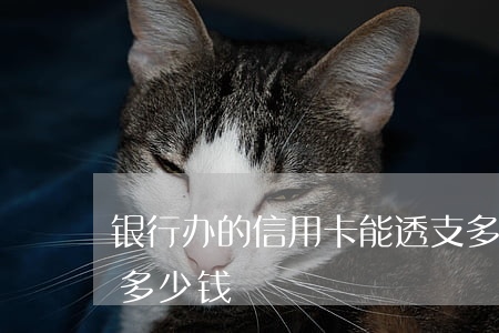 银行办的信用卡能透支多少(办信用卡能透支多少钱)