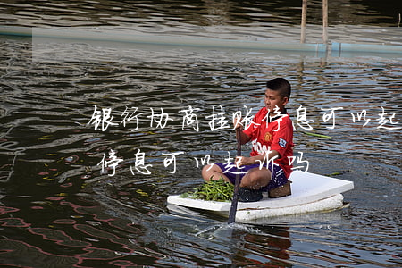 银行协商挂账停息可以起诉吗(银行协商挂账停息可以起诉吗)