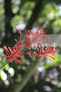 银行卡丢了怎么补办