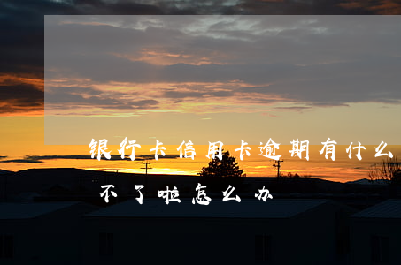 银行卡信用卡逾期有什么办（信用卡逾期卡用不了啦怎么办）