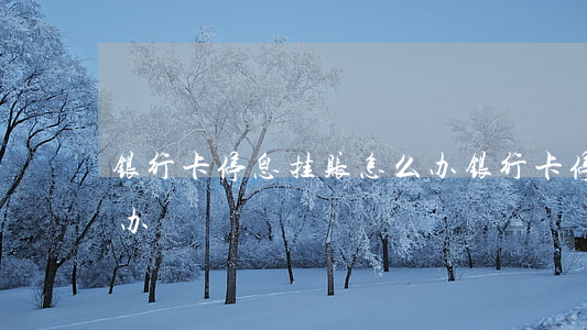 银行卡停息挂账怎么办（银行卡停息挂账怎么办）