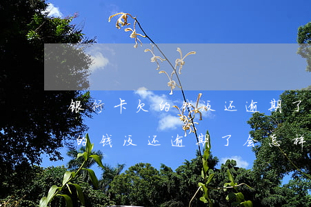 银行卡欠的钱没还逾期了会怎样-银行卡欠的钱没还逾期了会怎样处理