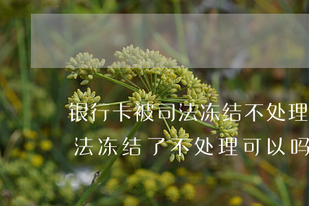 银行卡被司法冻结不处理可以吗(银行卡被司法冻结了不处理可以吗)