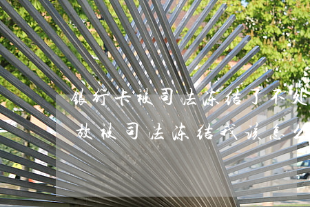 银行卡被司法冻结了不处理可以吗(银行卡无故被司法冻结,我该怎么办)