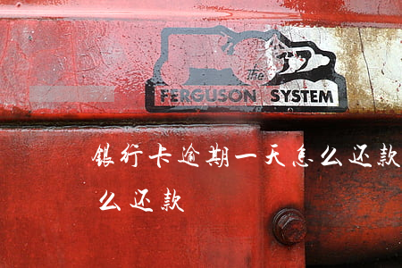 银行卡逾期一天怎么还款(银行卡逾期一天怎么还款)