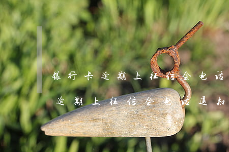 银行卡逾期上征信会电话通知我吗-银行卡逾期上征信会电话通知我吗怎么办