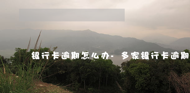 银行卡逾期怎么办-多家银行卡逾期怎么办