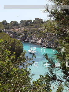 银行卡逾期还能办别的信用卡吗-如果有信用卡逾期还能不能去其他银行贷款