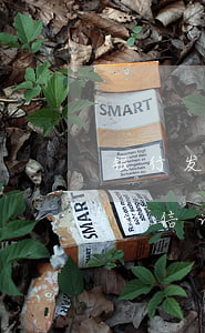 银行发短信说协商还款不然就起诉-银行发短信说协商还款不然就起诉了