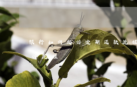 银行如何起诉逾期还款流程(银行欠款逾期起诉流程)