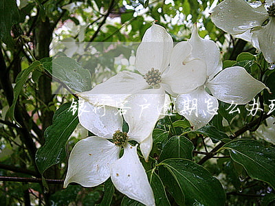 银行客户逾期怎么办理(银行逾期处理流程)