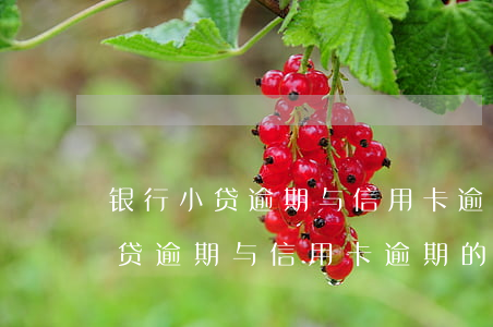 银行小贷逾期与信用卡逾期的区别-银行小贷逾期与信用卡逾期的区别是什么