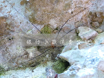 银行小额消费贷款逾期率(消费贷款逾期案后果)