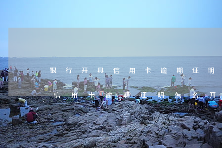 银行开具信用卡逾期证明怎么开-银行开具信用卡逾期证明怎么开具