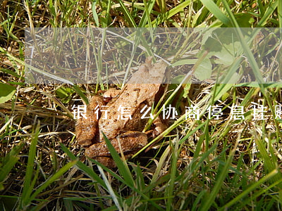 银行怎么协商停息挂账