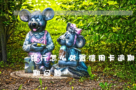 银行怎么处置信用卡逾期(如何处理信用卡逾期问题)