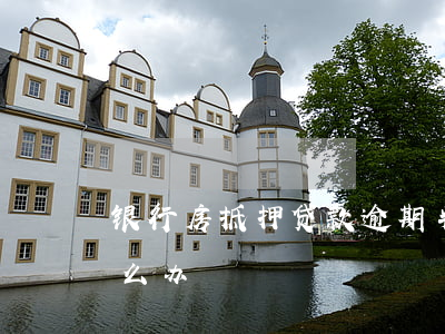 银行房抵押贷款逾期半月(银行房贷款逾期怎么办)