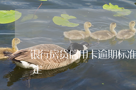 银行房贷信用卡逾期标准(房贷信用卡逾期规定)