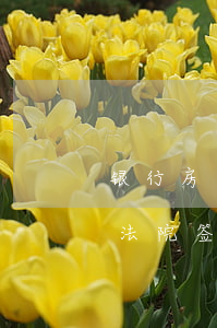 银行房贷逾期保证书怎么写（房贷逾期让我去法院签承诺书）