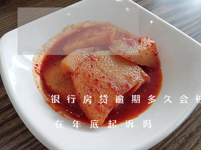 银行房贷逾期多久会被起诉（房贷逾期银行会在年底起诉吗）