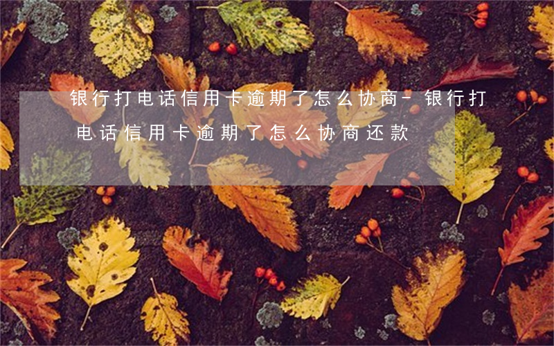 银行打电话信用卡逾期了怎么协商-银行打电话信用卡逾期了怎么协商还款