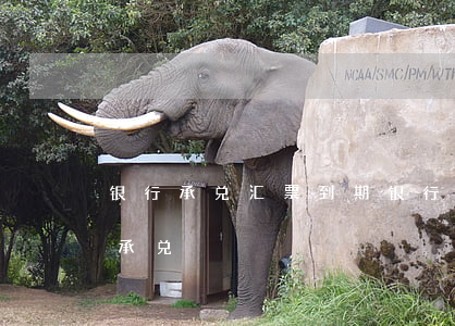银行承兑汇票到期(银行承兑汇票到期后怎么承兑)