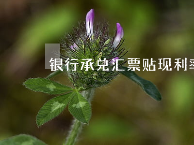 银行承兑汇票贴现利率2023是多少