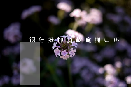银行抵押贷款逾期归还