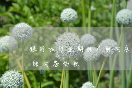 银行担保逾期能不能购房(银行担保逾期能不能购房贷款)