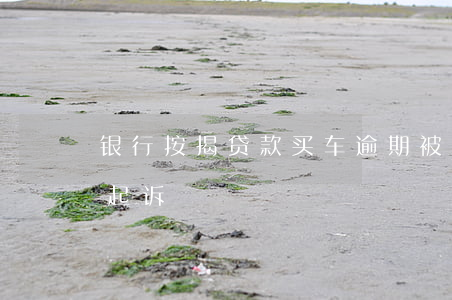 银行按揭贷款买车逾期被起诉(车贷逾期法院起诉)