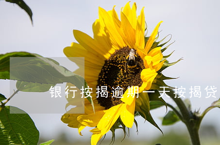 银行按揭逾期一天(按揭贷款逾期一天)