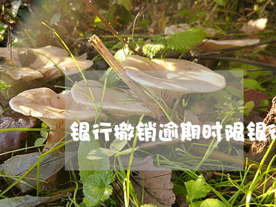 银行撤销逾期时限(银行撤销逾期时限)